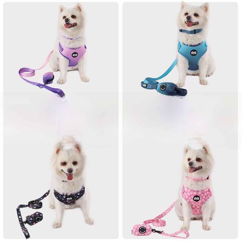 Patterned Dog Collar Leash - Dog Gear - TinPaw