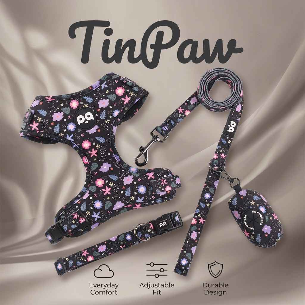 Patterned Dog Collar Leash - Dog Gear - TinPaw