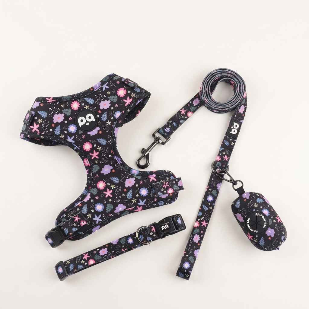 Patterned Dog Collar Leash - Dog Gear - TinPaw