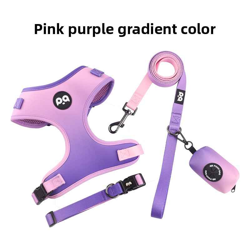 Patterned Dog Collar Leash - Dog Gear - TinPaw - Pink Purple Gradient - M - SU00367184 - Pink Purple Gradient - M