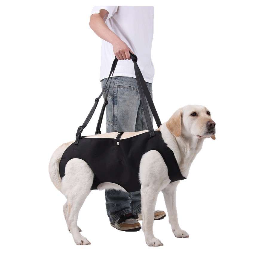 Reflective Dog Support Harness - Dog Gear - TinPaw