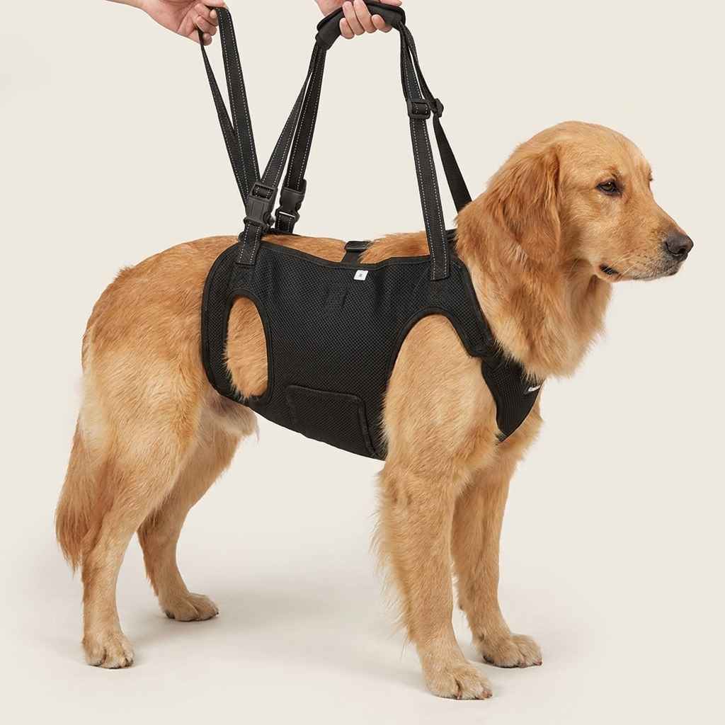 Reflective Dog Support Harness - Dog Gear - TinPaw