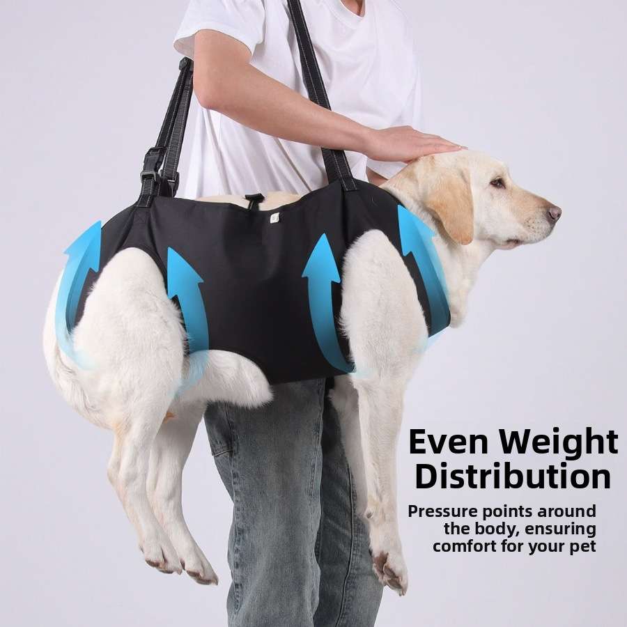 Reflective Dog Support Harness - Dog Gear - TinPaw