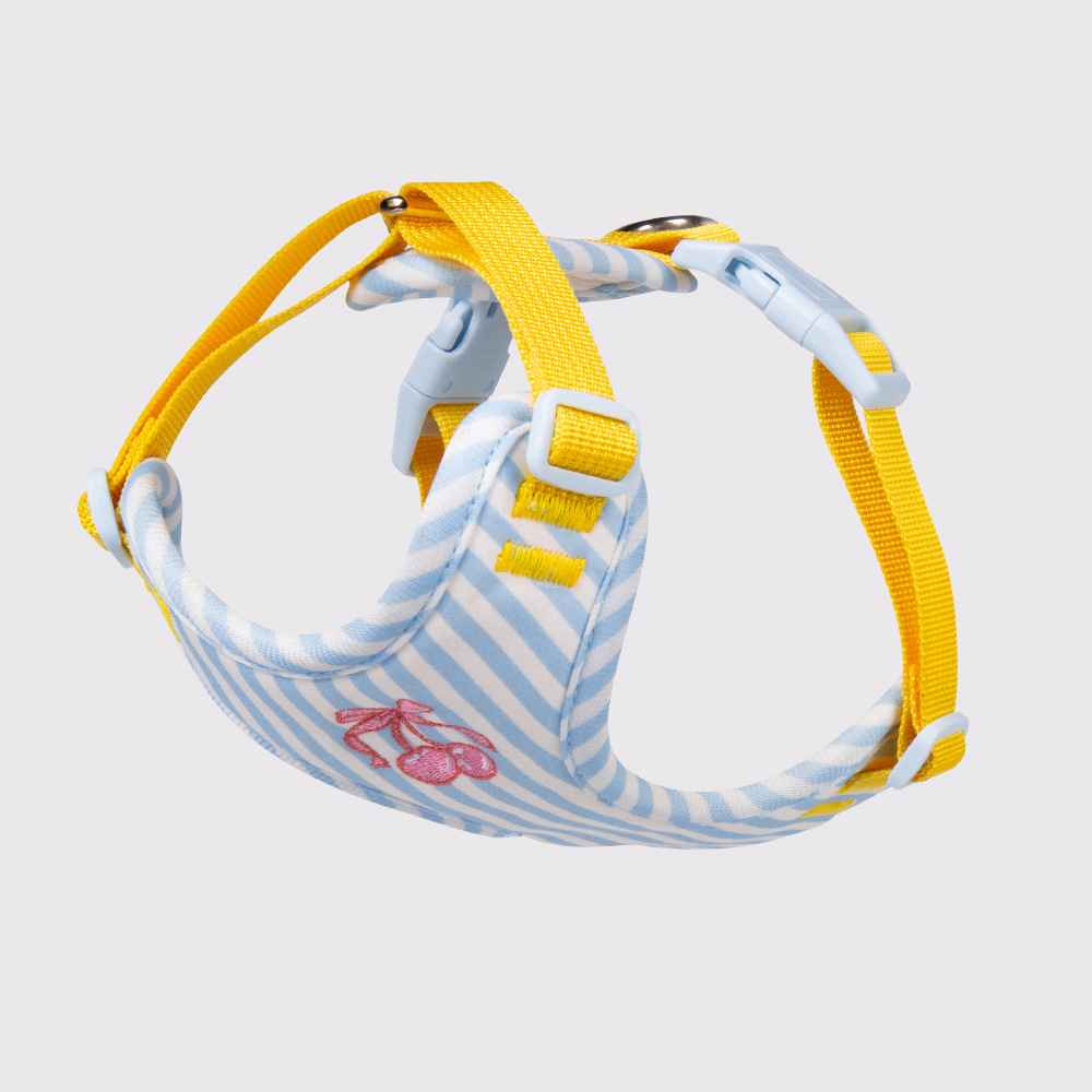 Anti - Escape Small Dog Harness - Dog Gear - TinPaw - Sky blue single breasted - s - SU00364453 - Sky blue single breasted - s