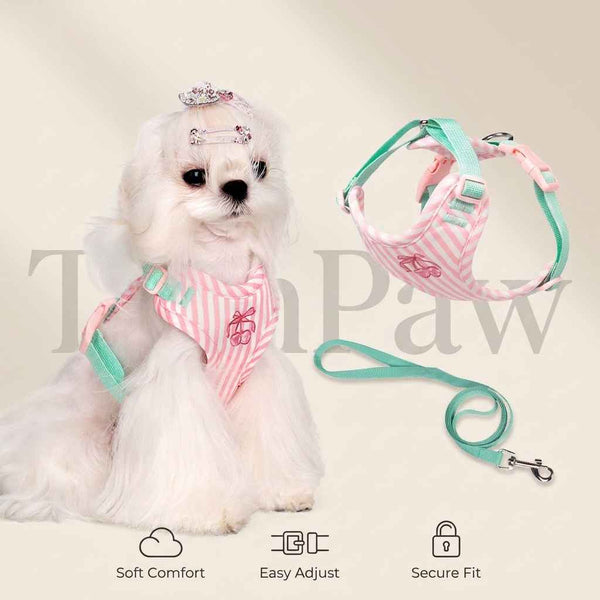 Anti - Escape Small Dog Harness - Dog Gear - TinPaw