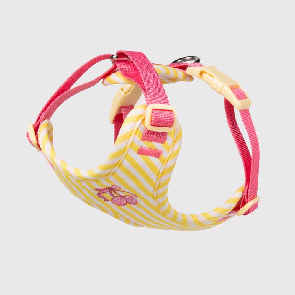 Anti - Escape Small Dog Harness - Dog Gear - TinPaw - Bright yellow single chest and back - s - SU00364453 - Bright yellow single chest and back - s