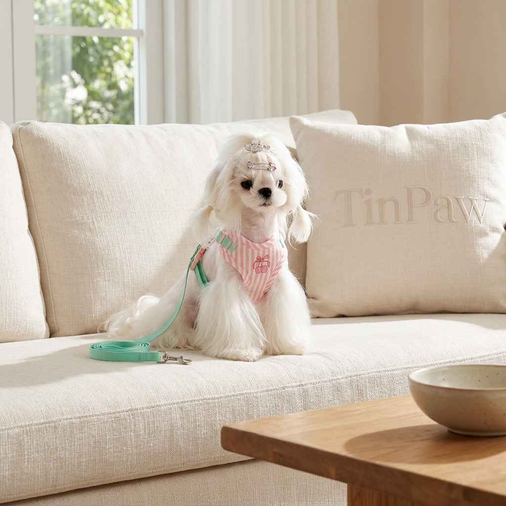 Anti - Escape Small Dog Harness - Dog Gear - TinPaw