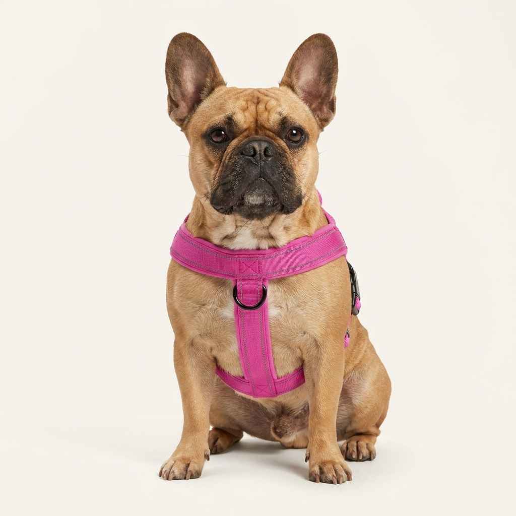 Anti - Escape Small Dog Harness - Dog Gear - TinPaw