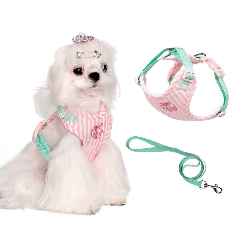 Anti - Escape Small Dog Harness - Dog Gear - TinPaw