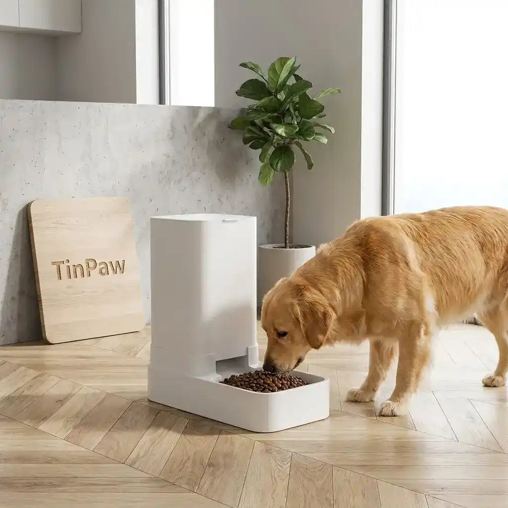 Pet Feeder Water Dispenser Combo - Automatic Pet Feeder - TinPaw
