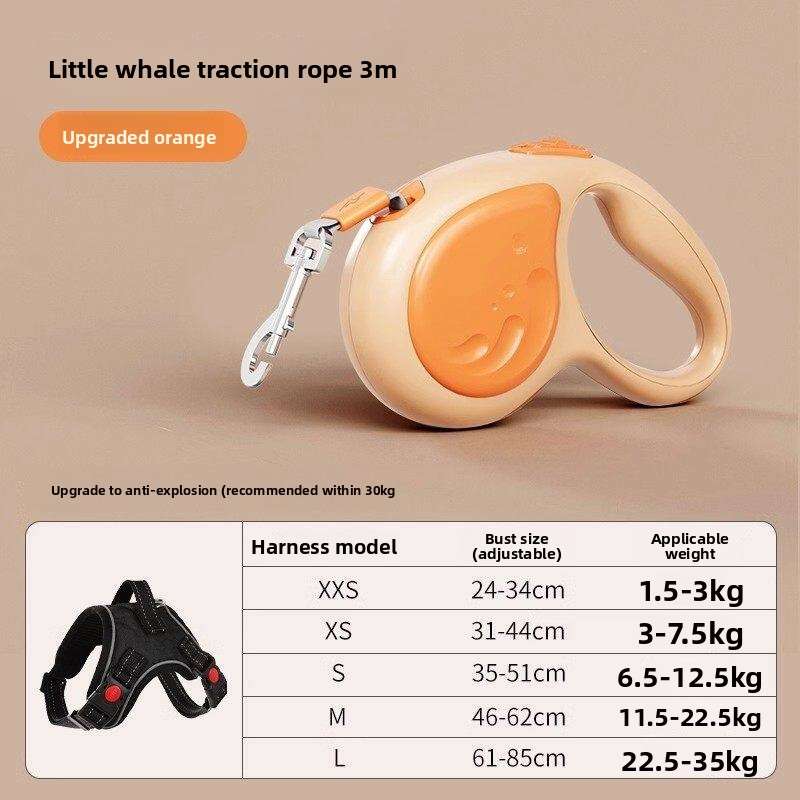 Retractable Dog Leash 5m - Dog Gear - TinPaw - Orange 3m - Retractable - SU00145831 - Orange 3m - Retractable