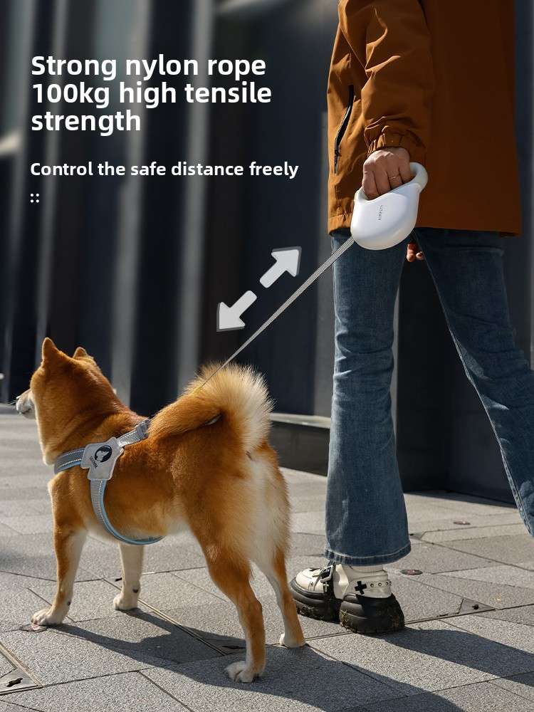Retractable Dog Leash 5m - Dog Gear - TinPaw