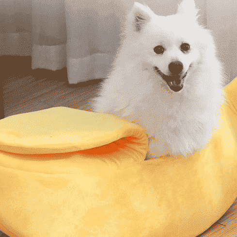 Banana Dog Bed Nest - Dog Beds & Furniture - TinPaw