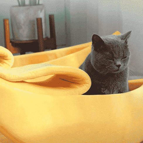 Banana Dog Bed Nest - Dog Beds & Furniture - TinPaw