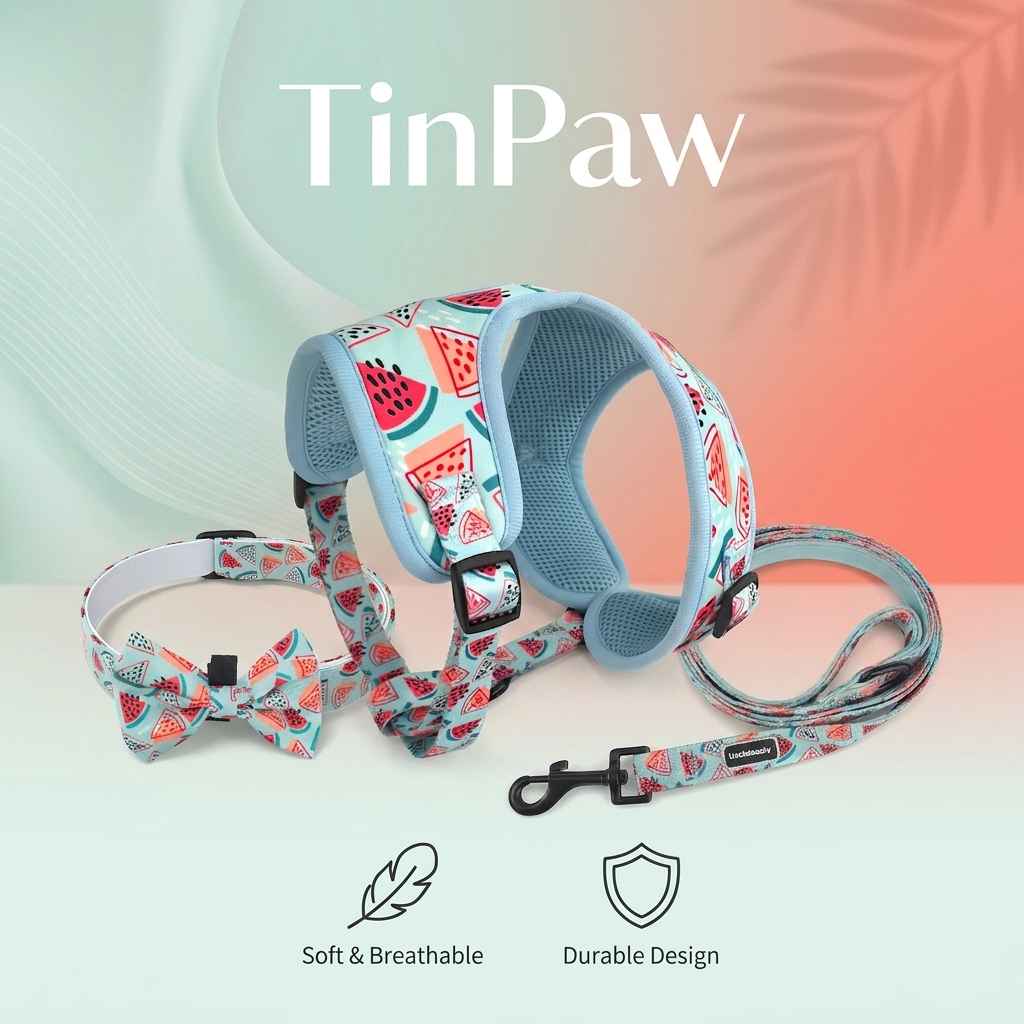 Mesh Dog Harness 5 - Piece - Dog Gear - TinPaw