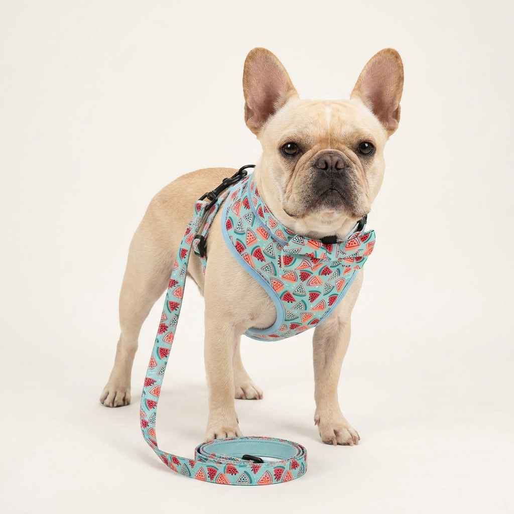 Mesh Dog Harness 5 - Piece - Dog Gear - TinPaw