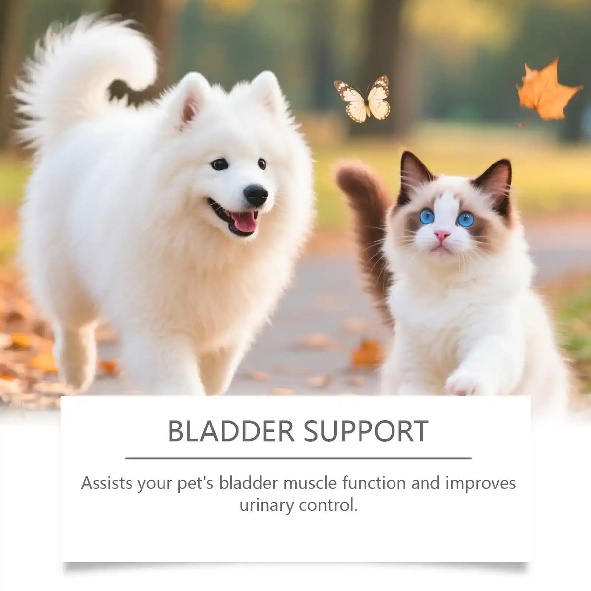 Dog Cat Vitality Drops 60ml - Dog Health - TinPaw