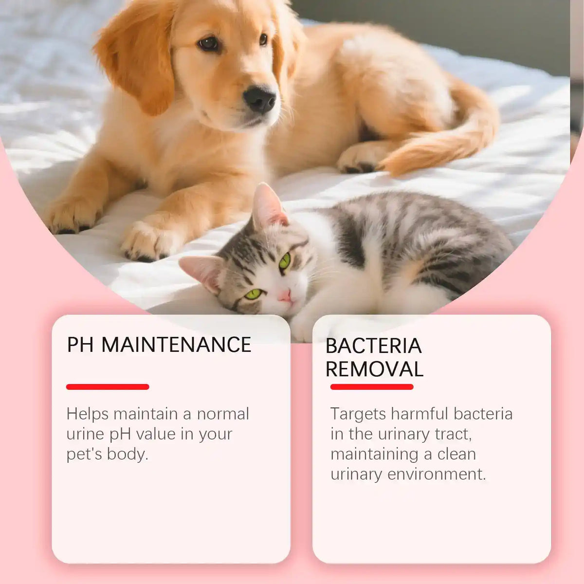 Dog Cat Vitality Drops 60ml - Dog Health - TinPaw