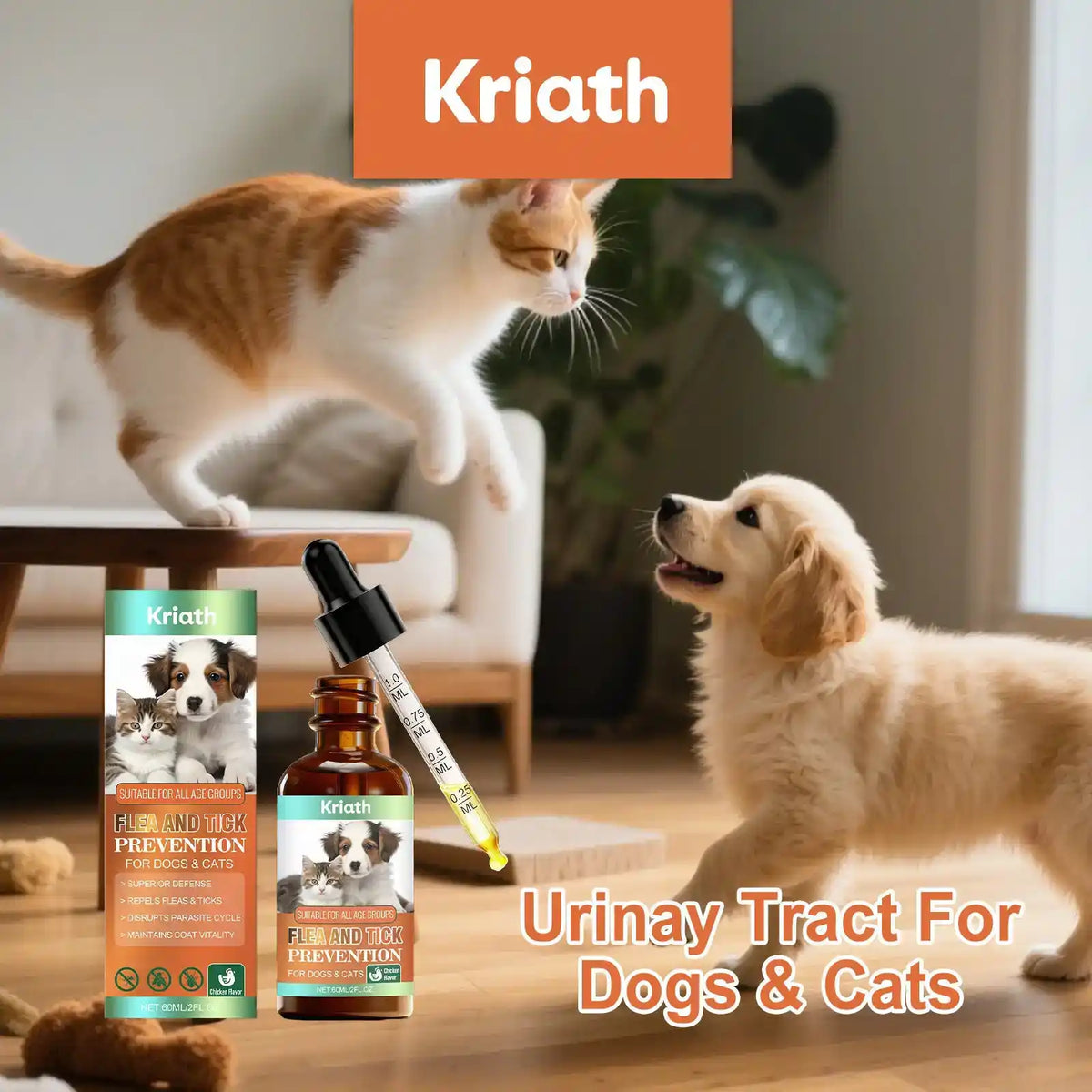 Cat Skin & Coat Care Drops - Dog Health - TinPaw