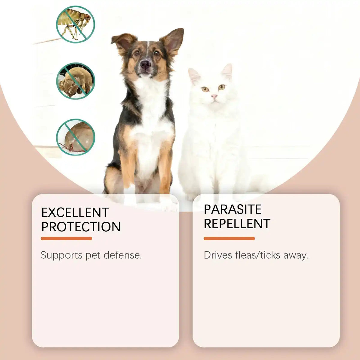 Cat Skin & Coat Care Drops - Dog Health - TinPaw