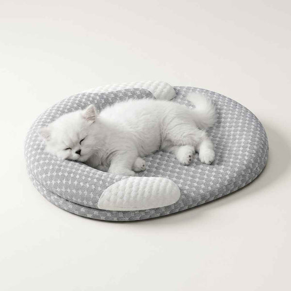 Cooling Summer Dog Bed - Dog Beds & Furniture - TinPaw