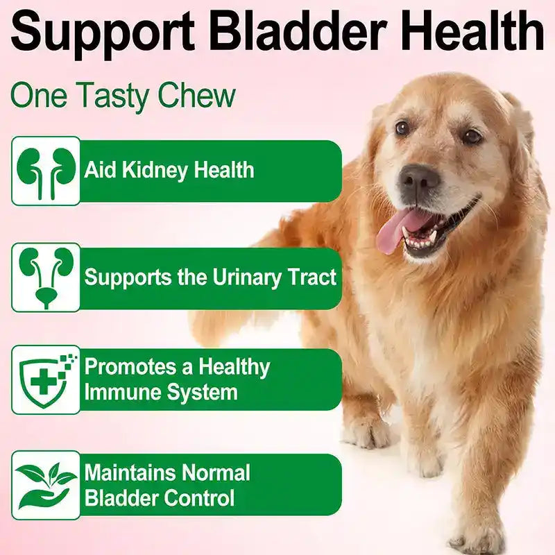 Cranberry Urinary Support Drops - Dog Health - TinPaw