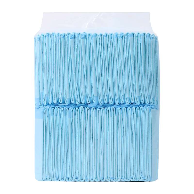 Charcoal Pet Training Pads - Dog Diapers - TinPaw - Thin S 100pcs 33x45cm - SU00156155 - Thin S 100pcs 33x45cm