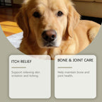 Dog Multivitamin Probiotic Tablets - Dog Health - TinPaw