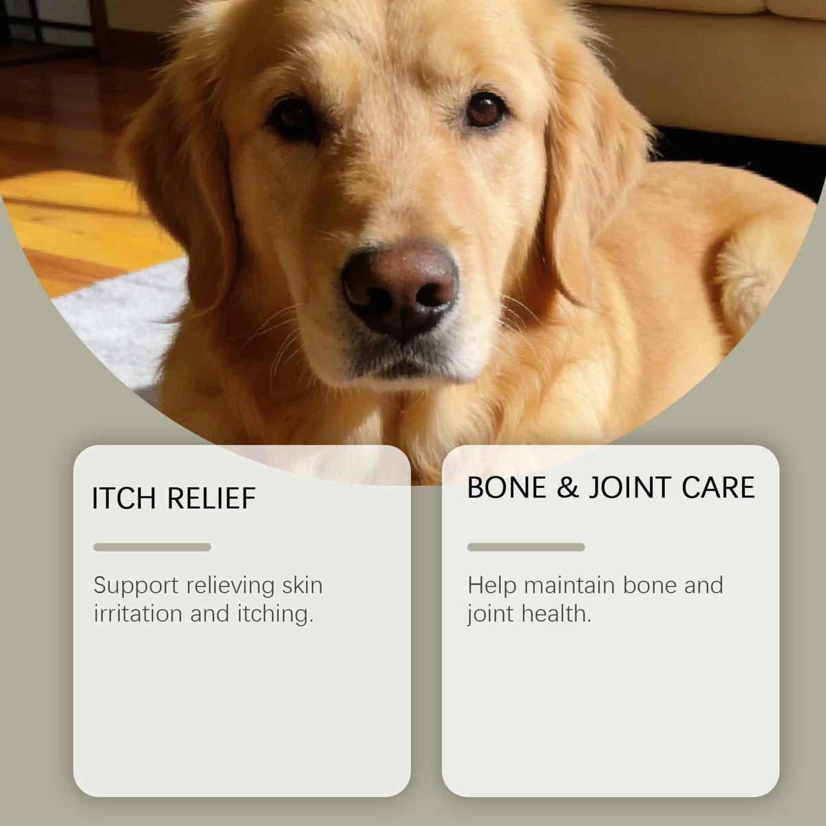 Dog Multivitamin Probiotic Tablets - Dog Health - TinPaw