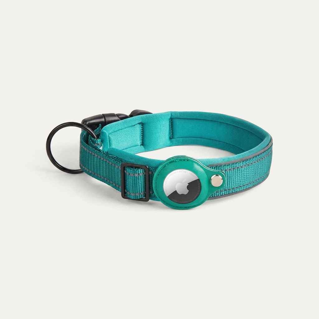 Dog Collar Leash GPS Slot - Dog Gear - TinPaw