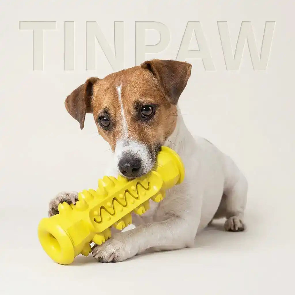Dog Dental Chew Toy - Dog Toys - New