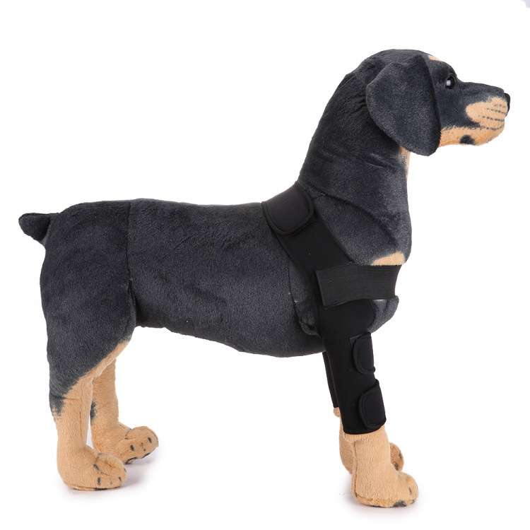 Dog Leg Brace Sleeve - Dog Gear - TinPaw - HJ07 double leg guards Black - L - SU00152853 - HJ07 double leg guards Black - L
