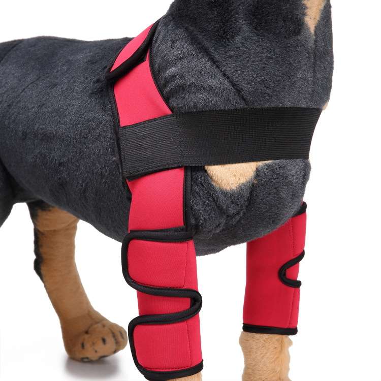 Dog Leg Brace Sleeve - Dog Gear - TinPaw - HJ08 double leg protector Red - M - SU00152853 - HJ08 double leg protector Red - M