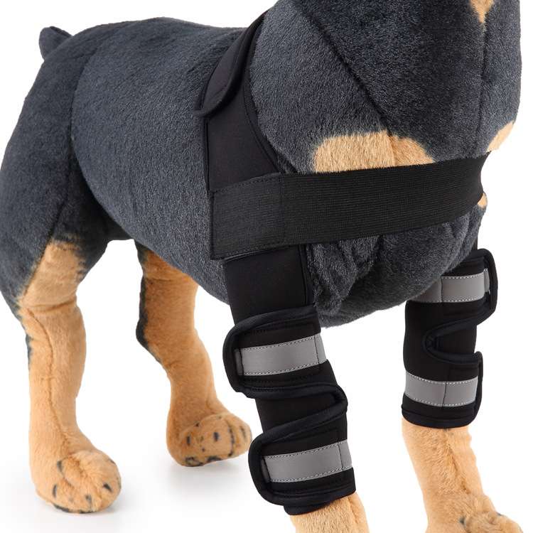 Dog Leg Brace Sleeve - Dog Gear - TinPaw - HJ16 double leg protector black reflecti - L - SU00152853 - HJ16 double leg protector black reflecti - L
