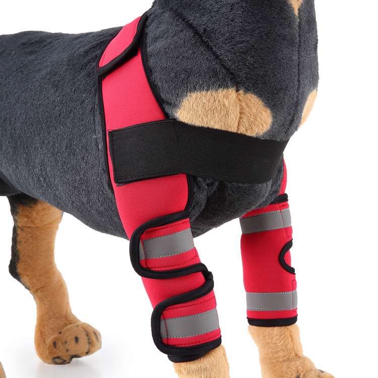 Dog Leg Brace Sleeve - Dog Gear - TinPaw - HJ17 Double Leg Protector Red Reflective - L - SU00152853 - HJ17 Double Leg Protector Red Reflective - L