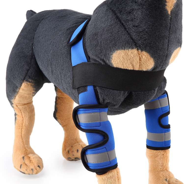 Dog Leg Brace Sleeve - Dog Gear - TinPaw - Hj18 double leggings blue reflective sty - M - SU00152853 - Hj18 double leggings blue reflective sty - M
