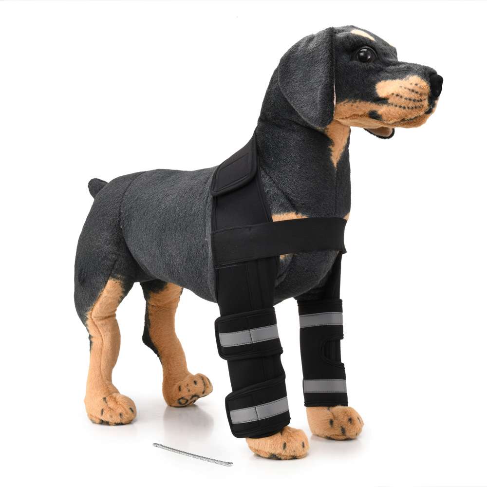 Dog Leg Brace Sleeve - Dog Gear - TinPaw - HJ31 front double leg protector Black - M - SU00152853 - HJ31 front double leg protector Black - M