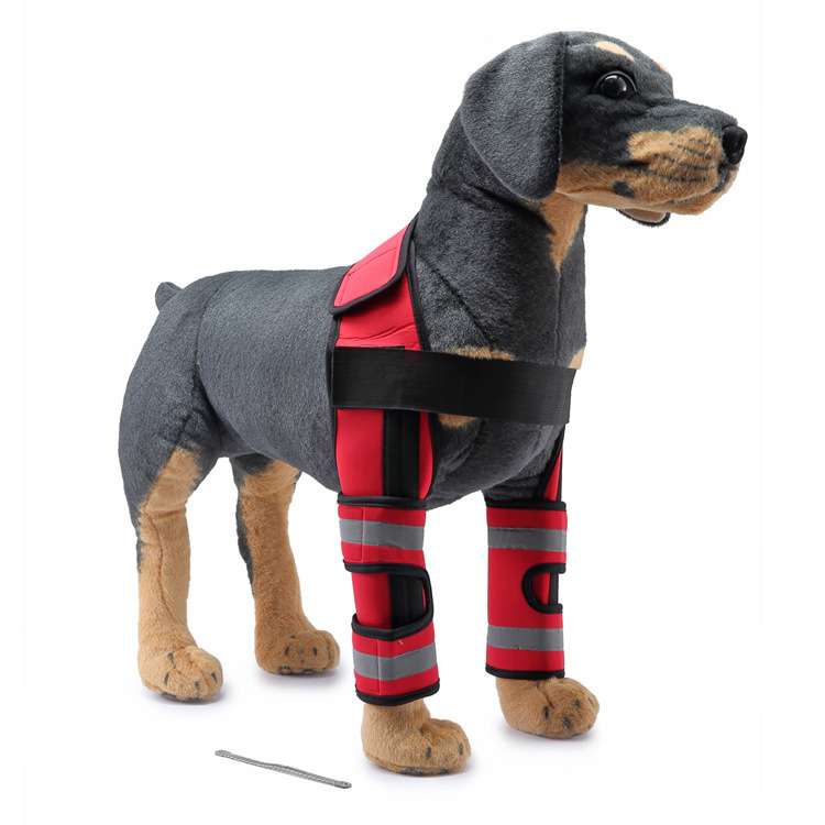 Dog Leg Brace Sleeve - Dog Gear - TinPaw - HJ32 front double leg protector red refl - S - SU00152853 - HJ32 front double leg protector red refl - S