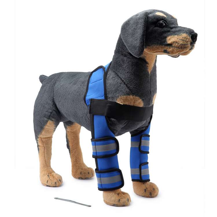 Dog Leg Brace Sleeve - Dog Gear - TinPaw - HJ33 front double leg protector Blue thi - M - SU00152853 - HJ33 front double leg protector Blue thi - M