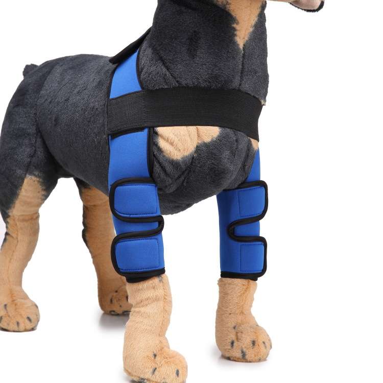 Dog Leg Brace Sleeve - Dog Gear - TinPaw - HJ09 double leg protector Blue - L - SU00152853 - HJ09 double leg protector Blue - L