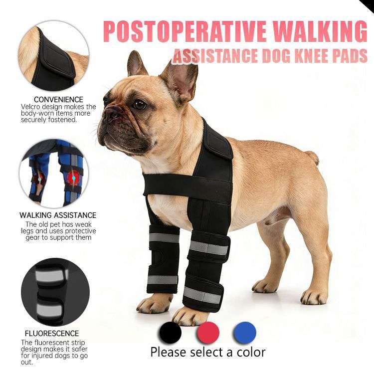Dog Leg Brace Sleeve - Dog Gear - TinPaw