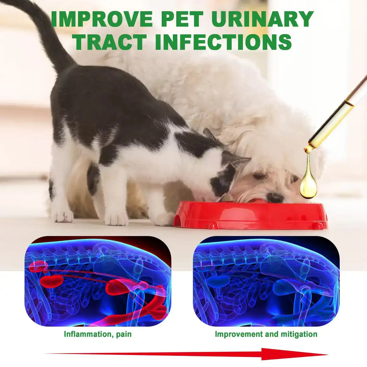 Daily Care Pet Drops 60ml - Dog Health - TinPaw