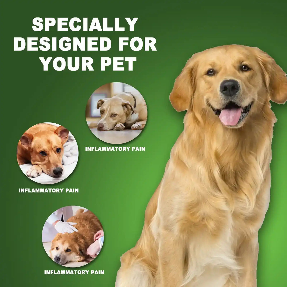Daily Care Pet Drops 60ml - Dog Health - TinPaw