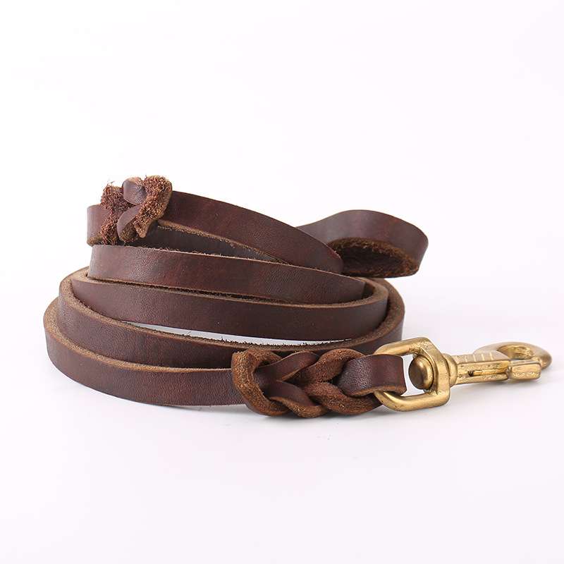 Leather Dog Lead Copper Hook - Dog Gear - TinPaw
