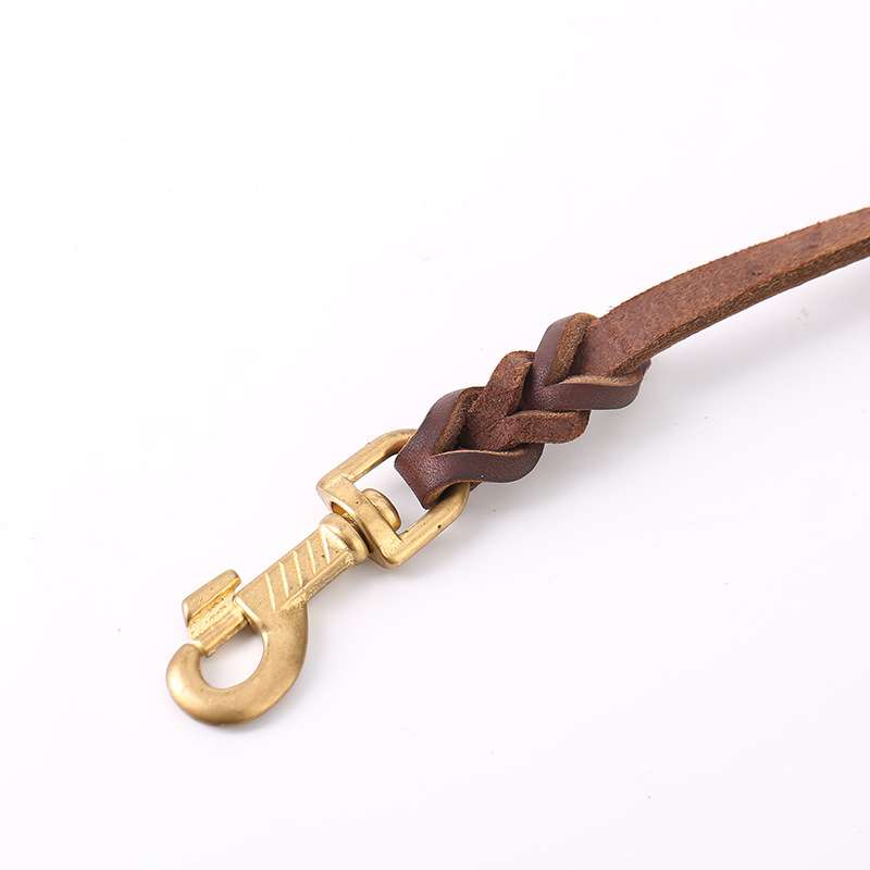 Leather Dog Lead Copper Hook - Dog Gear - TinPaw