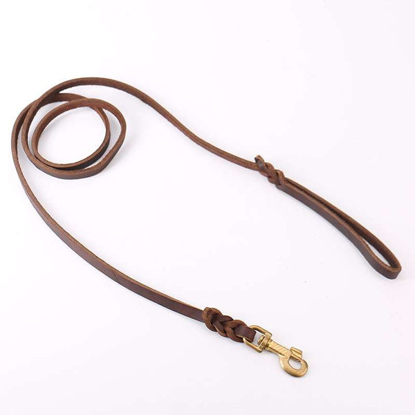 Leather Dog Lead Copper Hook - Dog Gear - TinPaw