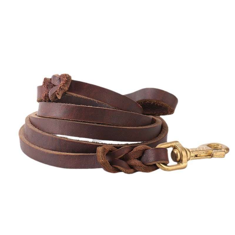Leather Dog Lead Copper Hook - Dog Gear - TinPaw