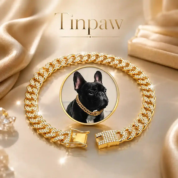 Hip - Hop Diamond Dog Collar - Collars - TinPaw - Gold - 75cm - SU00345552 - Gold - 75cm