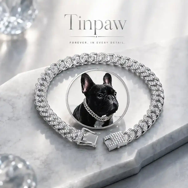 Hip - Hop Diamond Dog Collar - Collars - TinPaw - Silver - 75cm - SU00345552 - Silver - 75cm