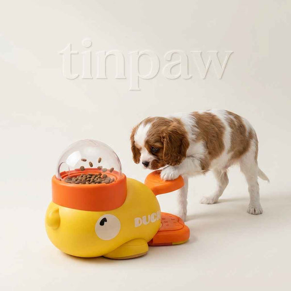 Interactive Duck Slow Feeder - Automatic Pet Feeder - TinPaw